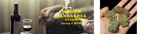 PSILOCYBIN Алзамай