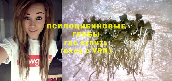спиды Мегион