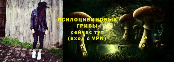 PSILOCYBIN Алзамай