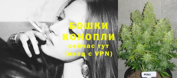 PSILOCYBIN Алзамай