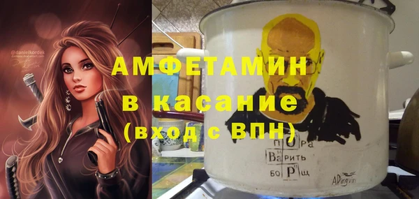 PSILOCYBIN Алзамай