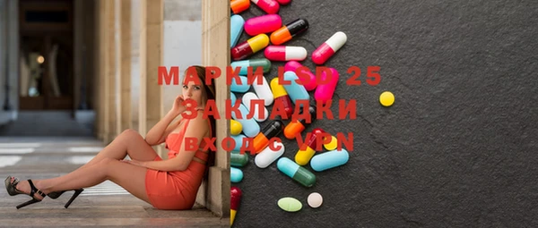 PSILOCYBIN Алзамай