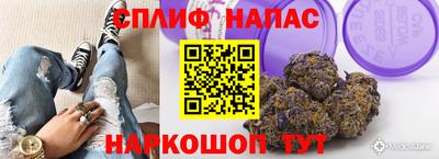 винт Славянск-на-Кубани