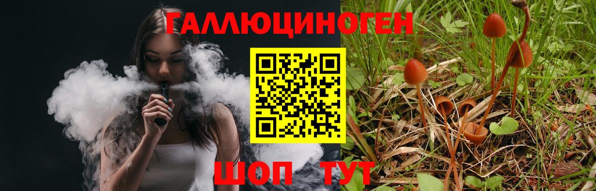Псилоцибиновые грибы Psilocybine cubensis Петрозаводск