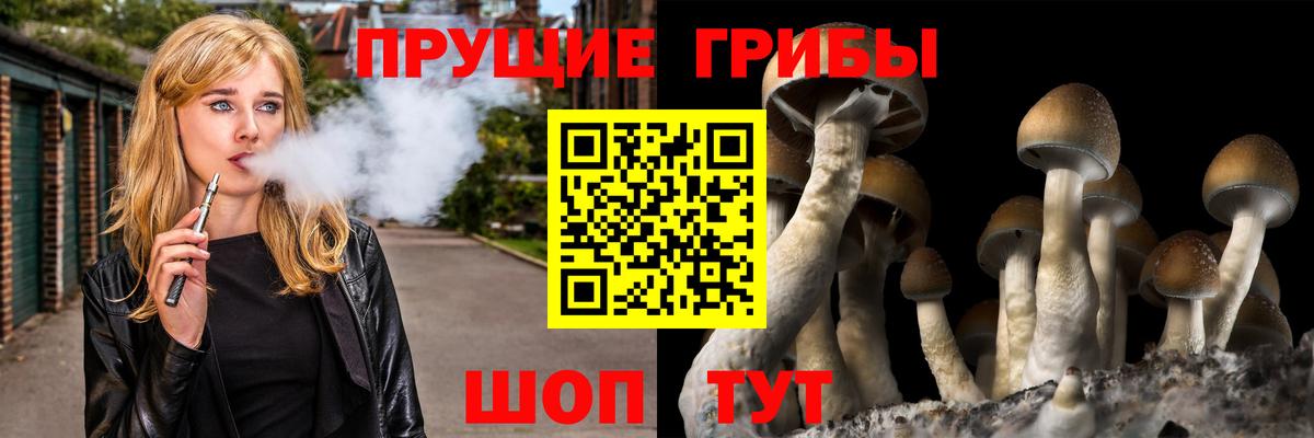 Петрозаводск  что такое   Вход с VPN  Псилоцибиновые грибы ЛСД 